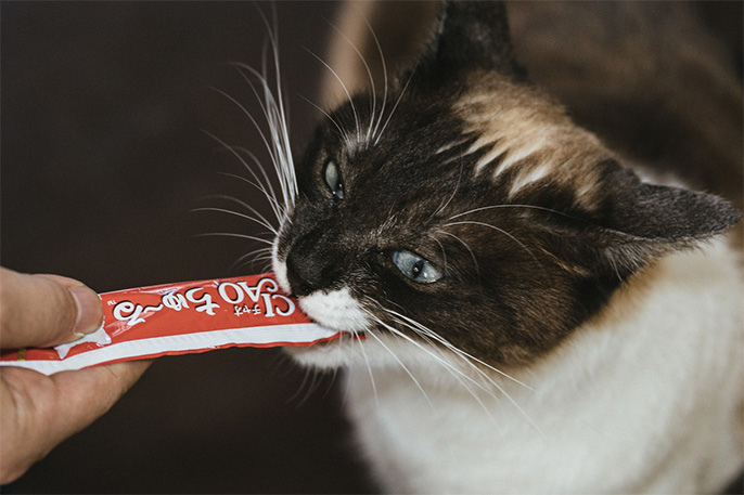 ちゅるちゅる チャオ クランキー ちゅーる和え まぐろ・かつろバラエティ 35袋