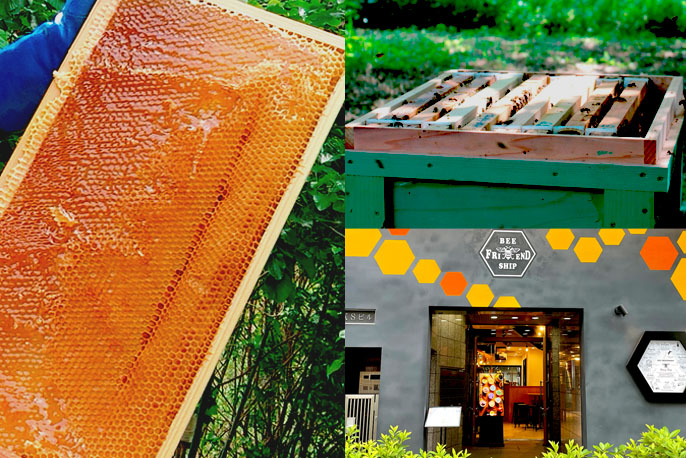 BEE FRIENDSHIPの《蜂蜜シロップ》はちみつレモン＆はちみつ生姜のど飴