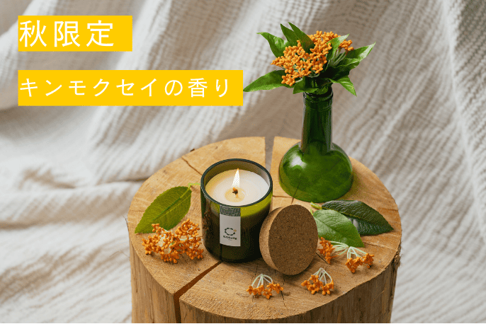 ☆ りー　さま　専用　☆ りーさん専用出品 リイ 様専用 リー様 専用出品 J様 専用出品 専用