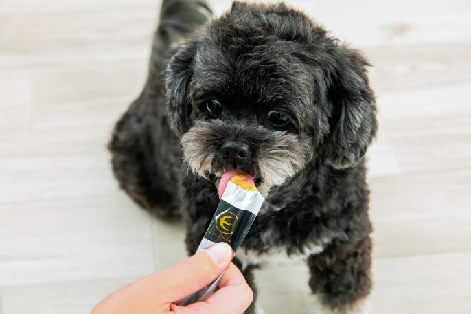 ミラネストゼリースティック FOR DOG | MIRANEST