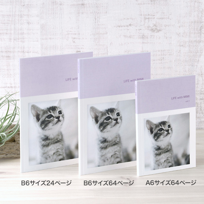 man計254枚9人フォト45枚 通常フォト144枚ステージフォト64