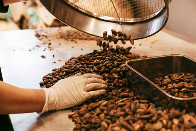 Dandelion Chocolateのクッキーアソートメントを贈る | カジュアル