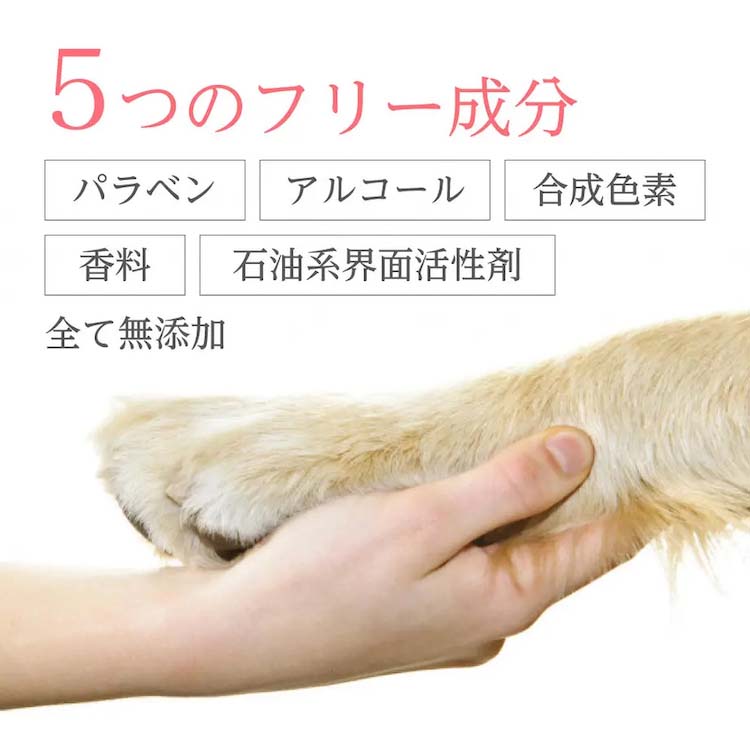 Hbah カジュアルギフトのgiftee ギフティ