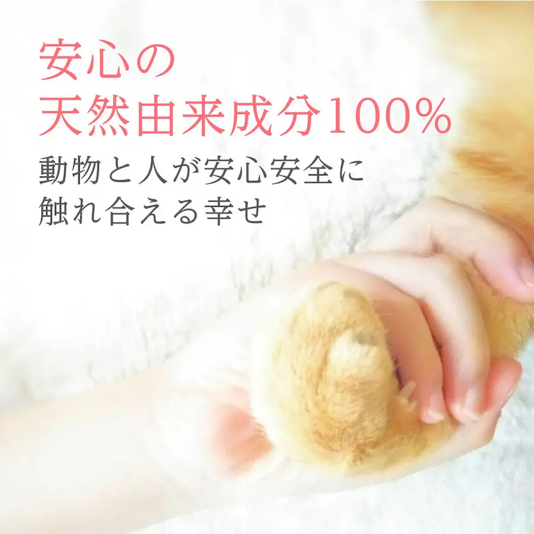 ストライプ柄 犬 猫 ペット 浴衣 【メール便可】 [M便 6/6